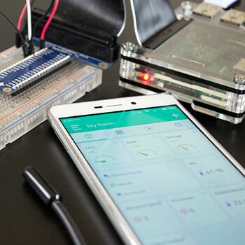 IoT Projects