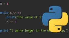 Python while loop