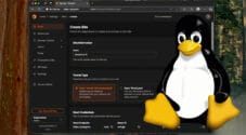 Pangolin Reverse Proxy Tunnel Linux